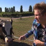 Ole geht immer mehr in seinem Rinder-Projekt auf und hat bereits eine Webseite eingerichtet. (Quelle: RTL 2)